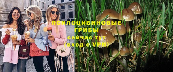 первитин Армянск