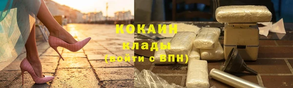 стафф Аркадак