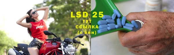 стафф Аркадак