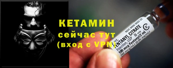 стафф Аркадак