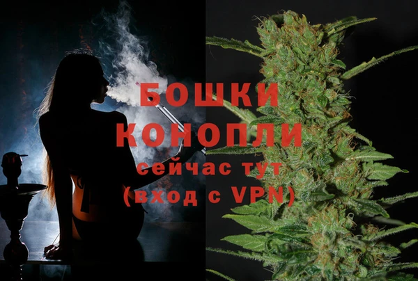 стафф Аркадак