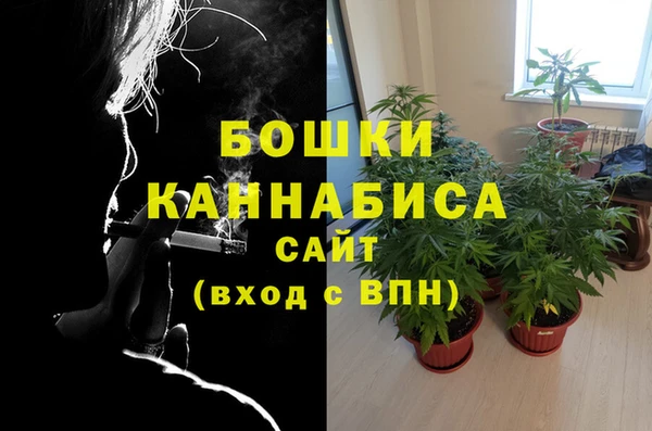 стафф Аркадак