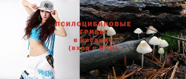 стафф Аркадак